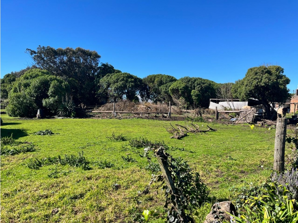 LATORRE PROP. VENDE FRACCION DE 5255 M2 CERCA DEL MAR — foto 3