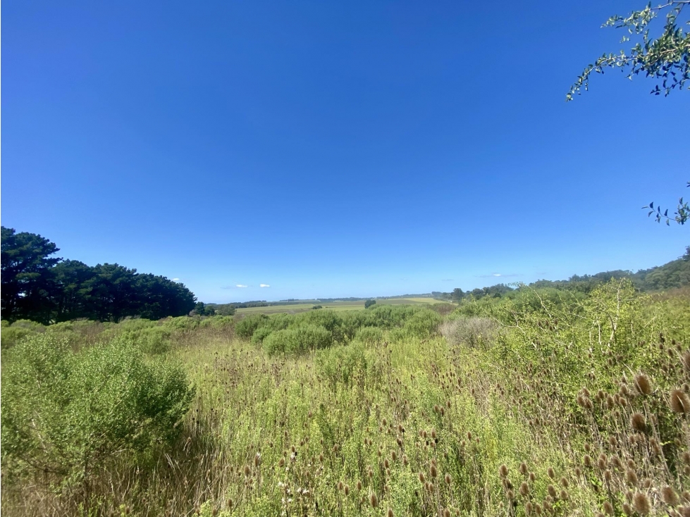 LATORRE PROP. VENDE 3 HECTAREAS EN SIERRA DE LOS PADRES