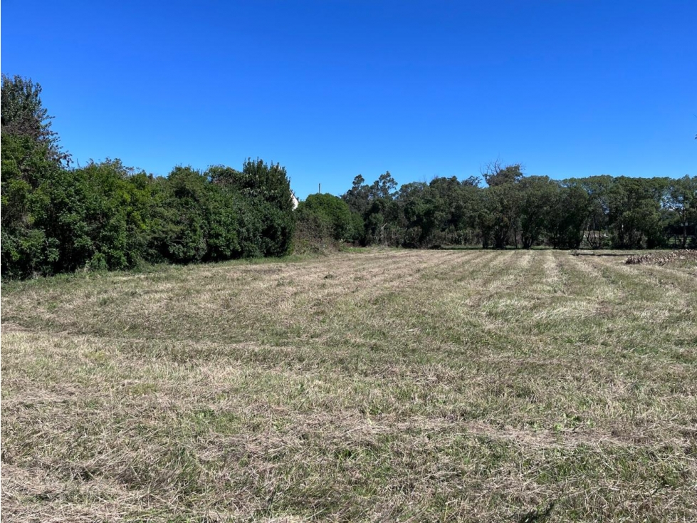 LATORRE PROP VENDE LOTE DE 850 M2 M2 A 300 METROS DEL MAR — foto 4