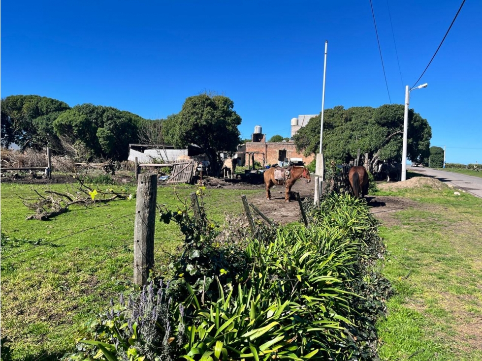 LATORRE PROP. VENDE FRACCION DE 5255 M2 CERCA DEL MAR — foto 4