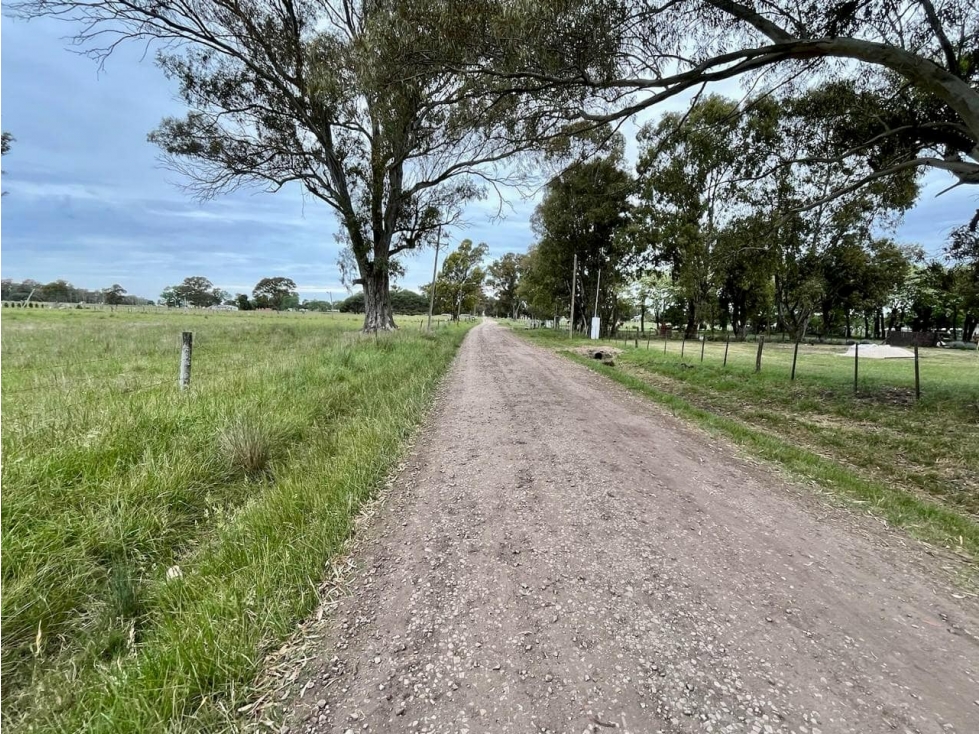 LATORRE PROP. VENDE LOTE BALDIO EN EL CASAL — foto 4