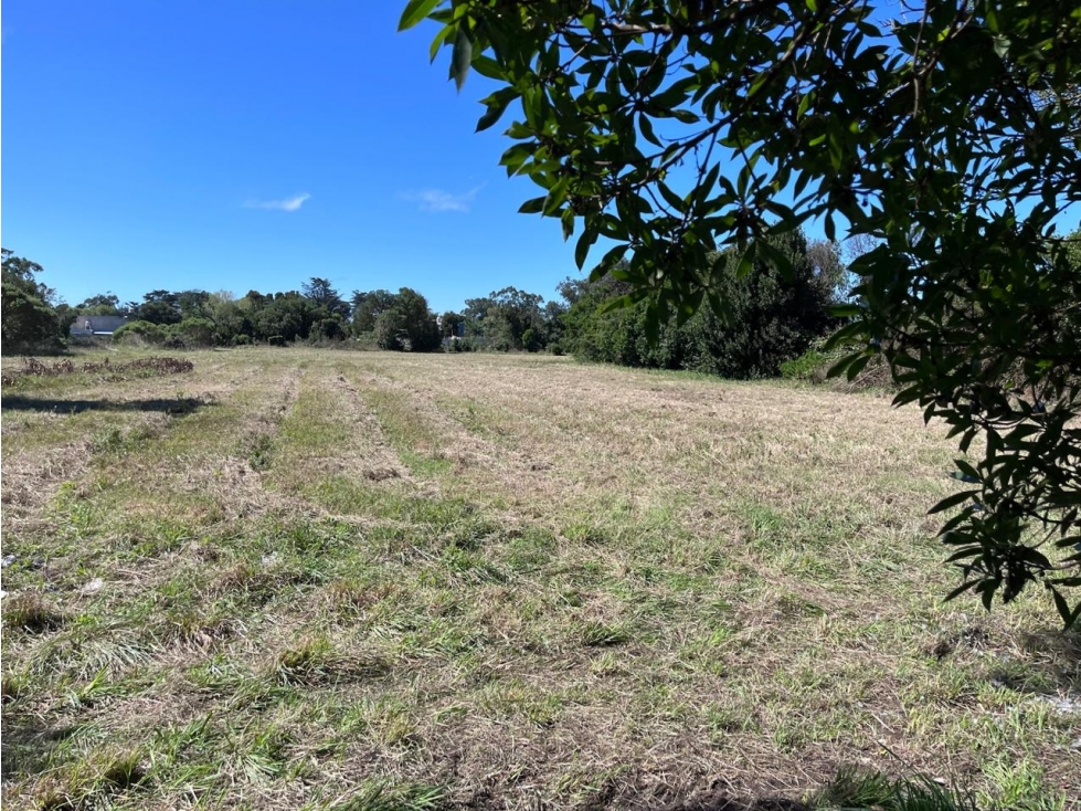 LATORRE PROP VENDE LOTE DE 850 M2 M2 A 300 METROS DEL MAR — foto 5