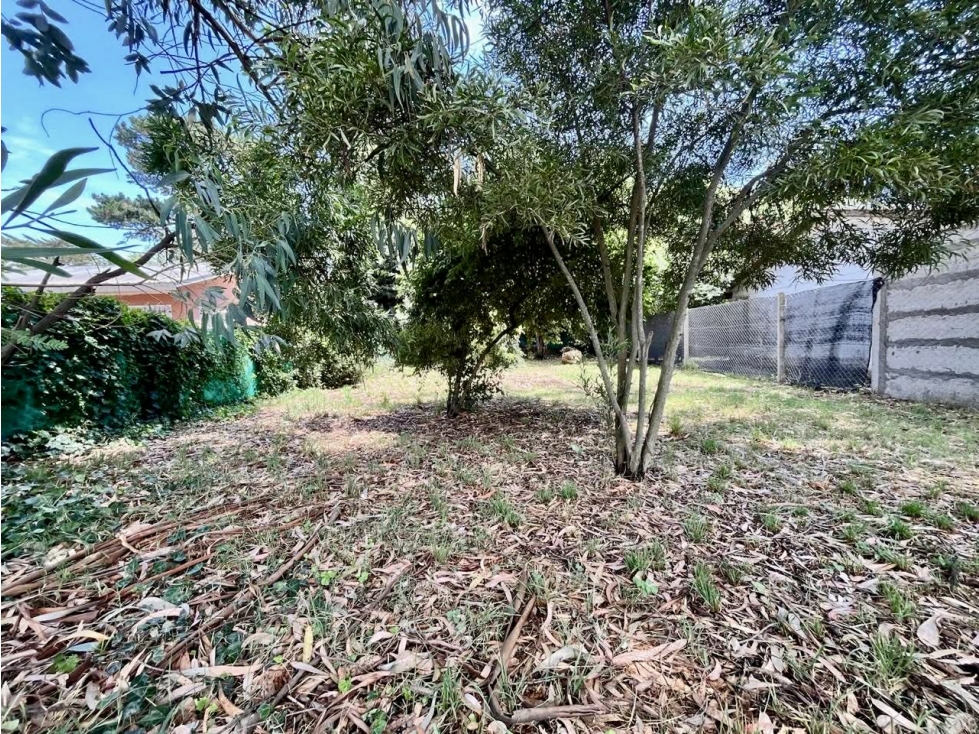 LATORRE PROP. VENDE HERMOSO LOTE EN LAS DALIAS — foto 2