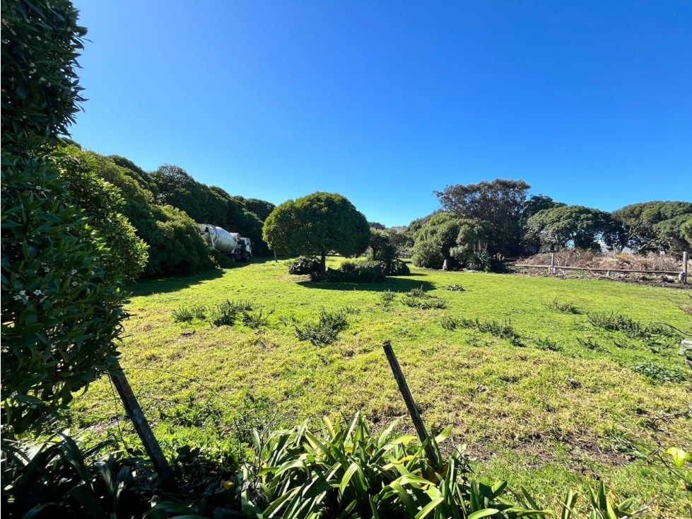LATORRE PROP. VENDE FRACCION DE 5255 M2 CERCA DEL MAR — foto 5