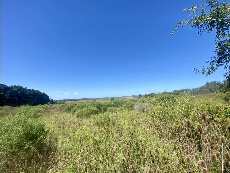 LATORRE PROP. VENDE 3 HECTAREAS EN SIERRA DE LOS PADRES — foto 2