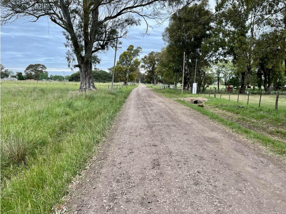 LATORRE PROP. VENDE LOTE BALDIO EN EL CASAL — foto 3