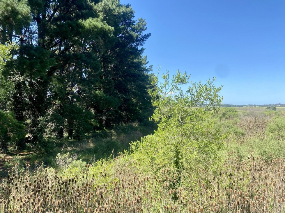 LATORRE PROP. VENDE 3 HECTAREAS EN SIERRA DE LOS PADRES — foto 4