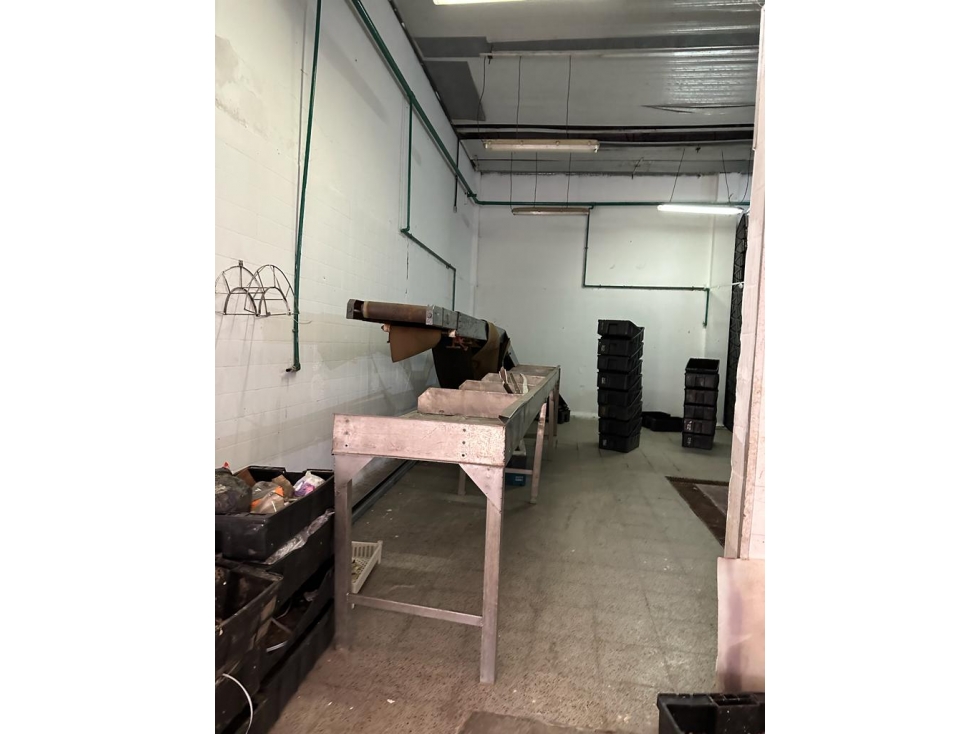 Frigorifico - 3
