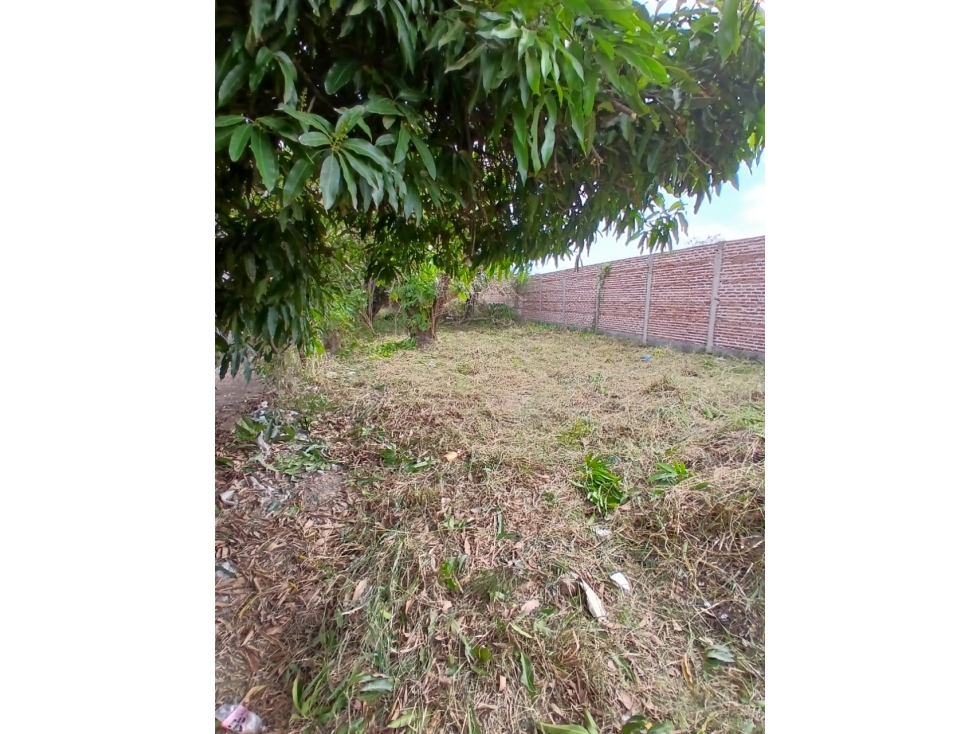 Terreno 10x50 sobre asfalto a minutos del centro! - 6
