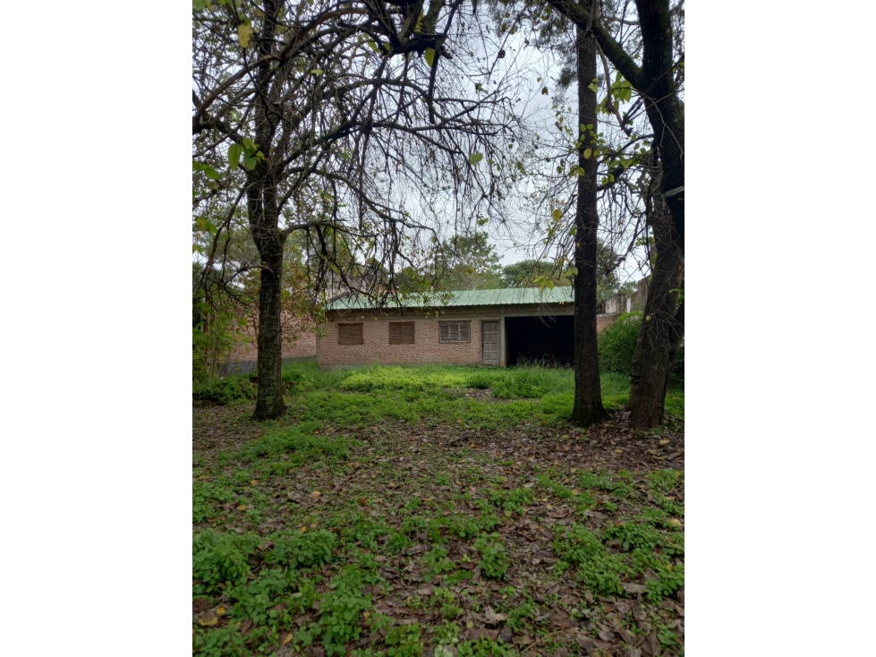 Sueño a terminar, casa 2 dorm con árboles en Colonia Benitez! - 1
