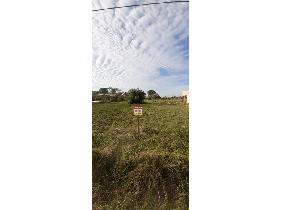 Hermoso terreno de 600 m2 en Los Hornos, Colonia Benítez - 6