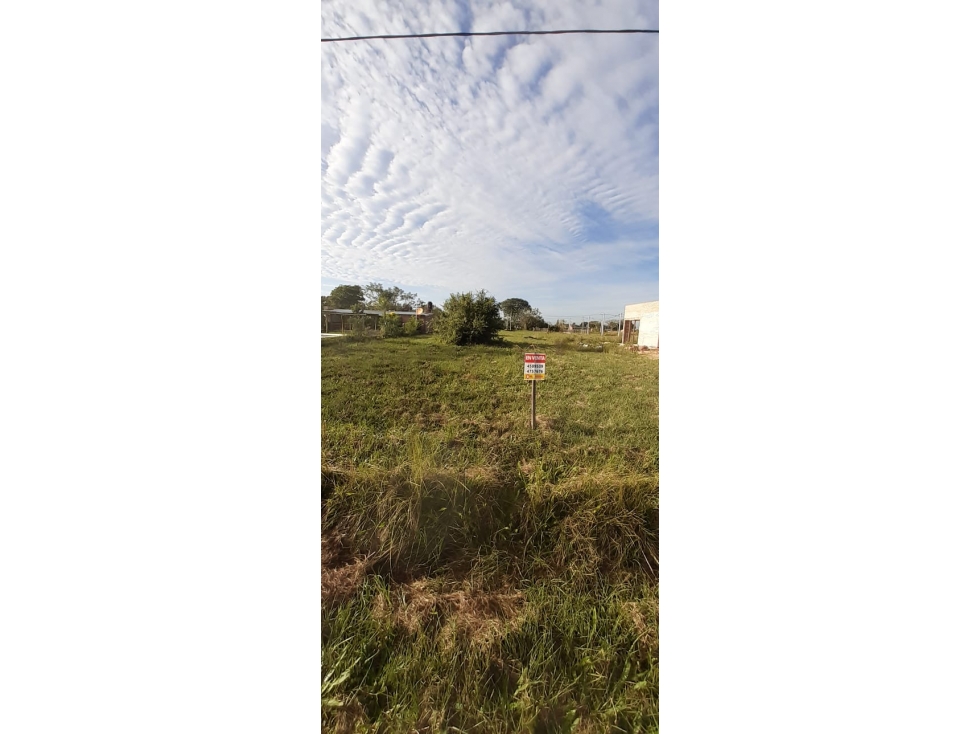 Hermoso terreno de 600 m2 en Los Hornos, Colonia Benítez - 5