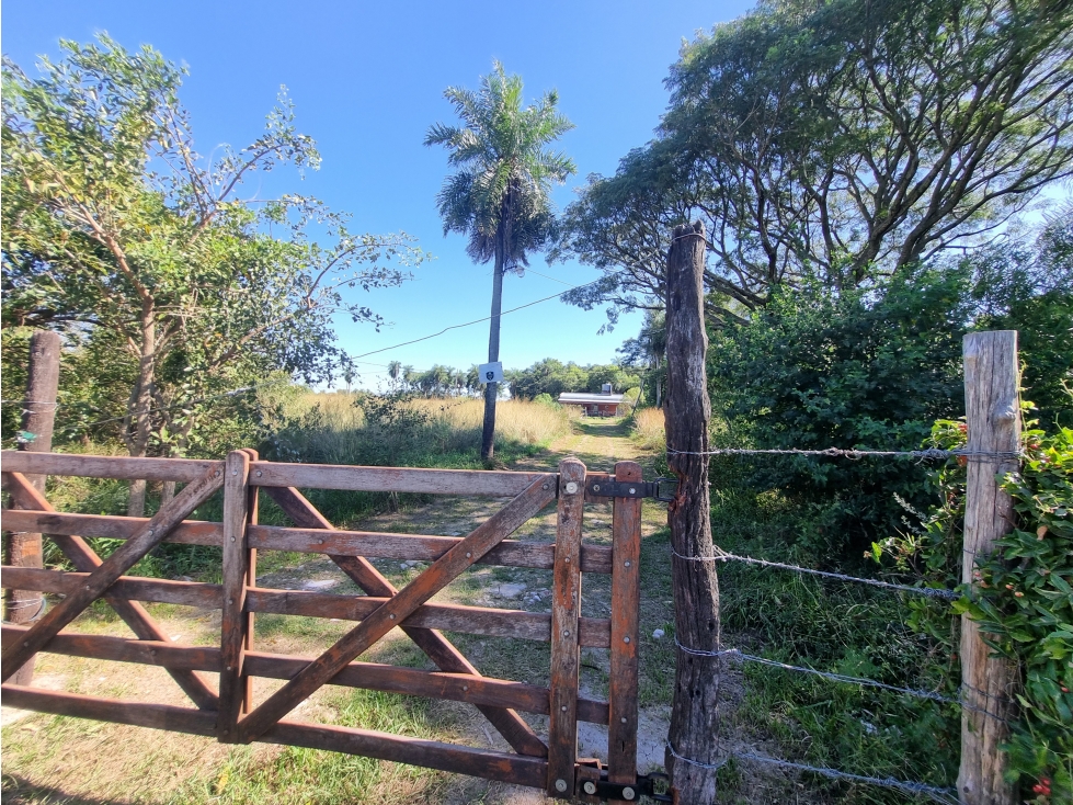 Naturaleza y Paz en Santa Ana - 6