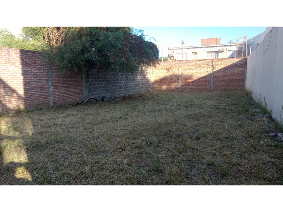 Un talismán en Altos de Sabin! - 2