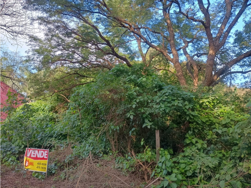 Los hermanos Monte, terrenos a metros de colectora Ruta 11 - 1