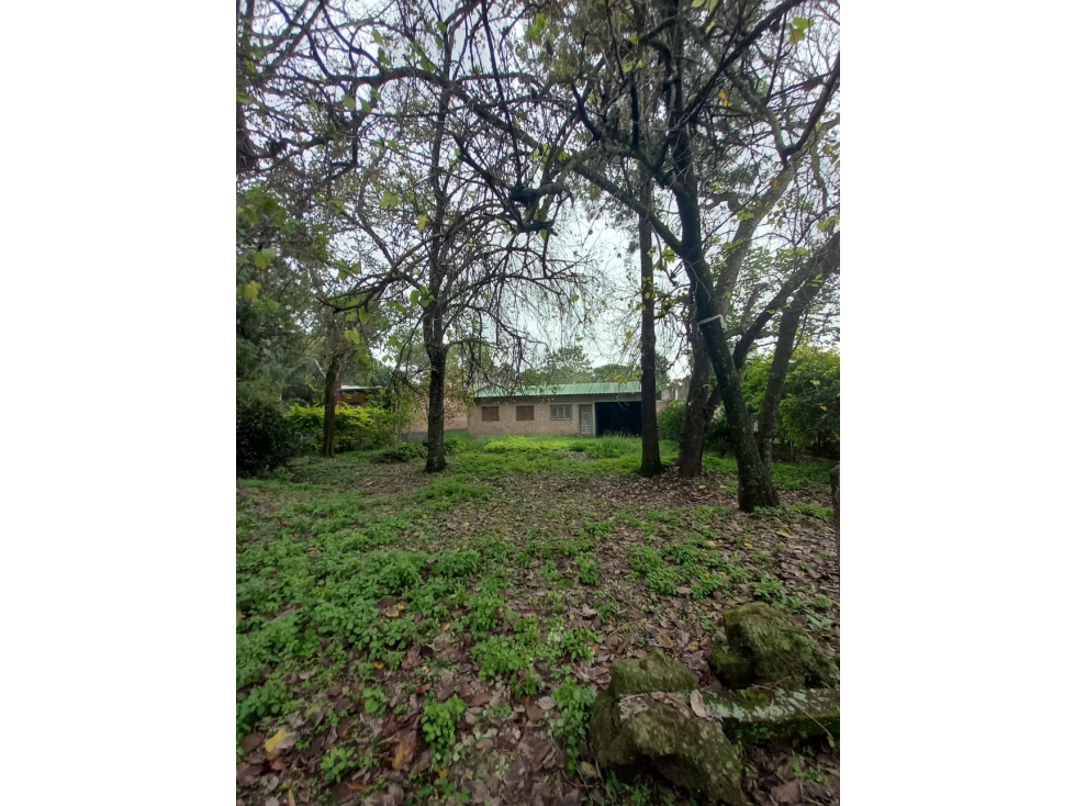 Sueño a terminar, casa 2 dorm con árboles en Colonia Benitez! — foto 2