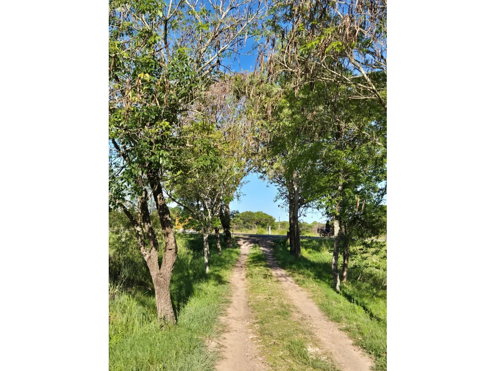 Casa con pileta sobre Ruta 11 camino a Colonia Benítez! — foto 4