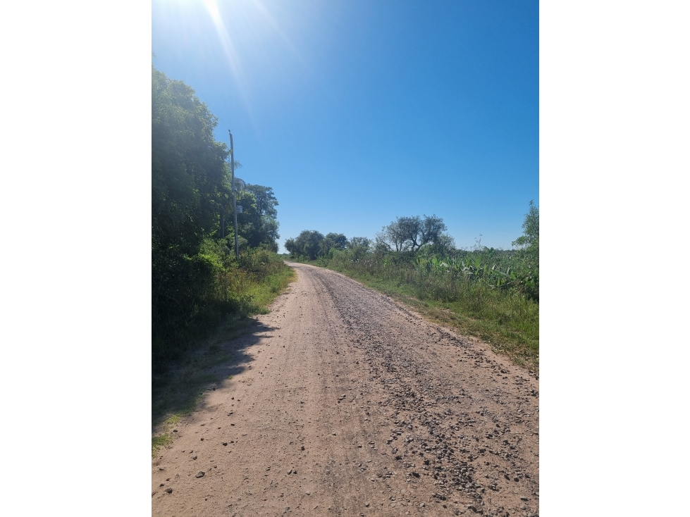 Naturaleza y Paz en Santa Ana - 2