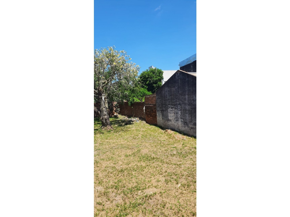 Terreno 10x25 a metros de Av Italia! - 6