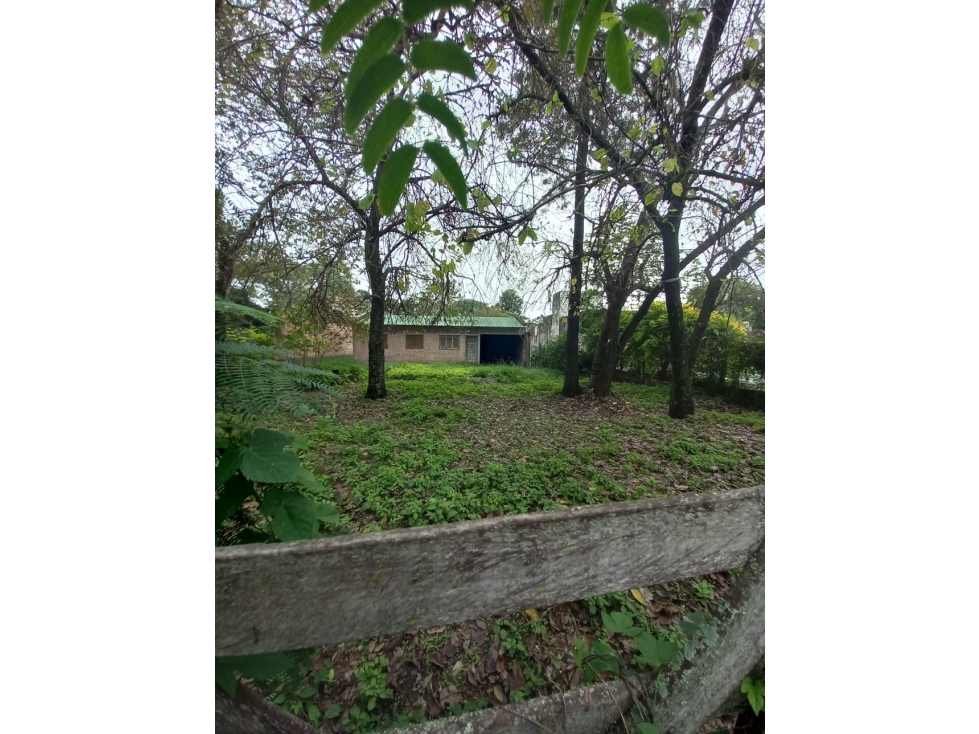 Sueño a terminar, casa 2 dorm con árboles en Colonia Benitez! — foto 3