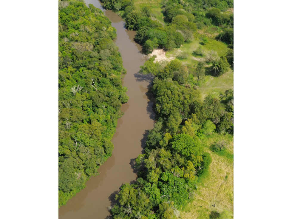 El primo de Los Naranjitos, Hectárea y media sobre río Tragadero - 3