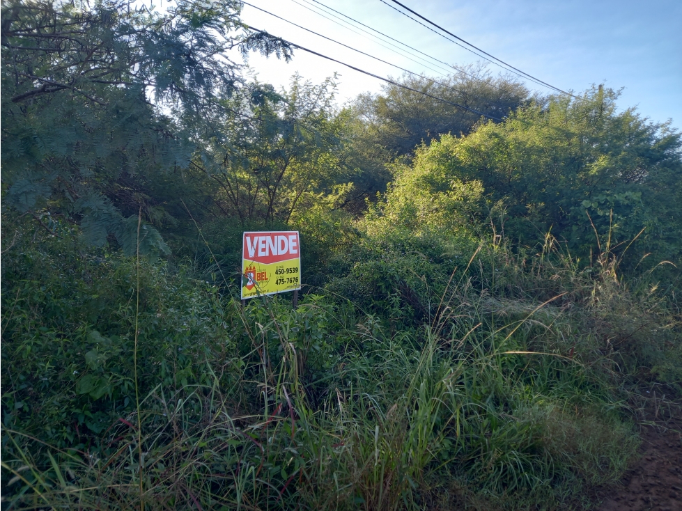 Terreno sobre principal Morgan, B° Caraguatá - 3