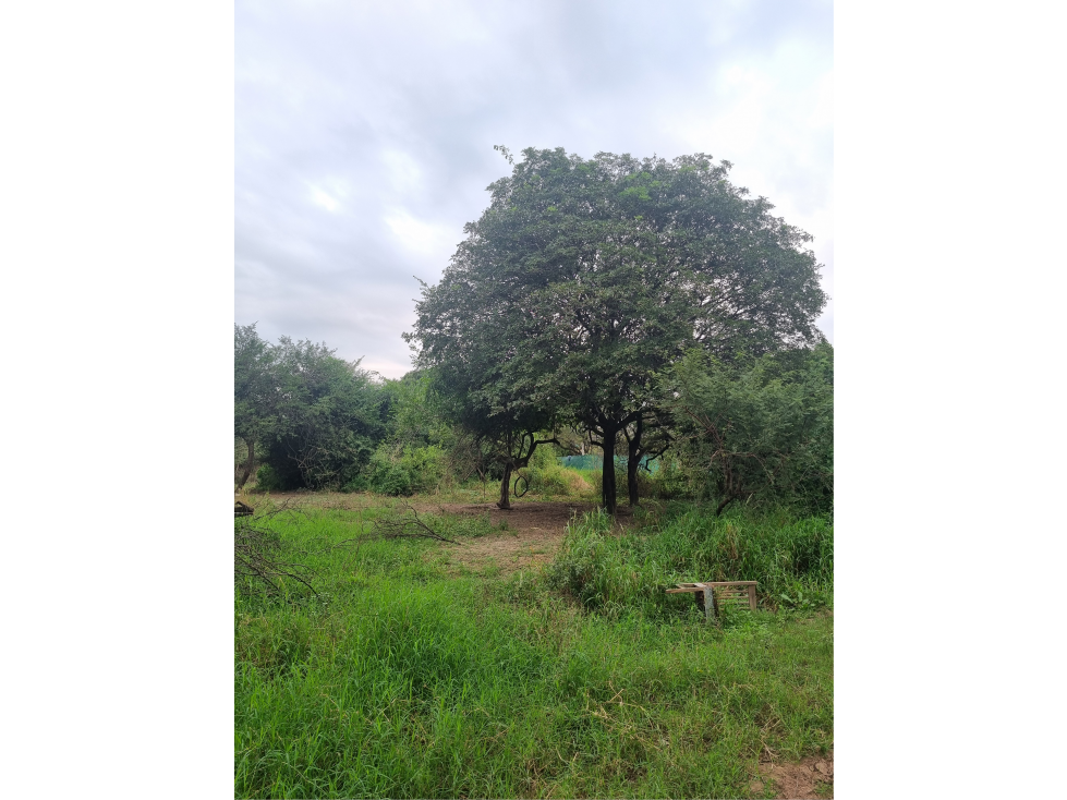 Terreno de 592 m2 zona Club Bancario, Villa Fabiana Norte - 6