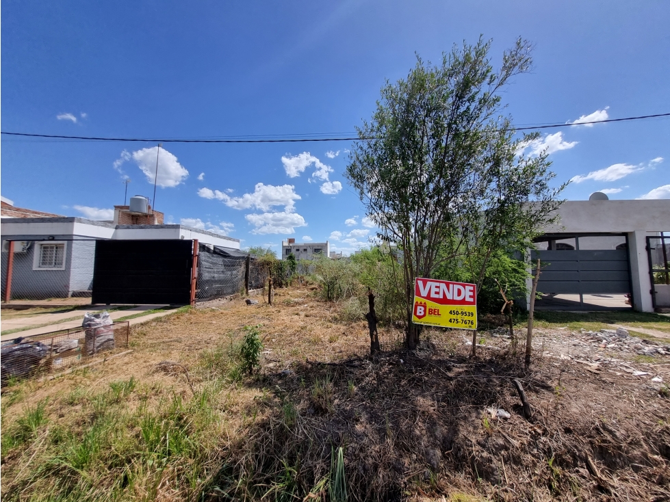 Terreno en Zona Norte, 10 x 31,25 entre medianeras - 3