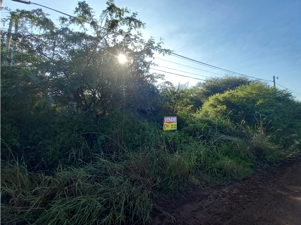 Terreno sobre principal Morgan, B° Caraguatá - 5
