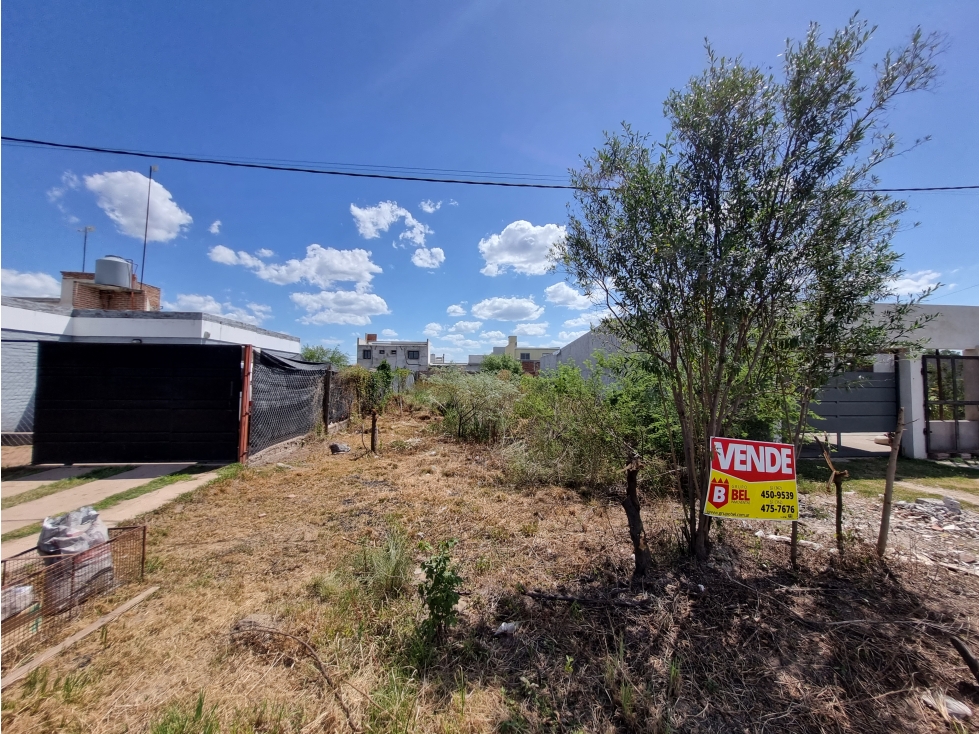 Terreno en Zona Norte, 10 x 31,25 entre medianeras - 4