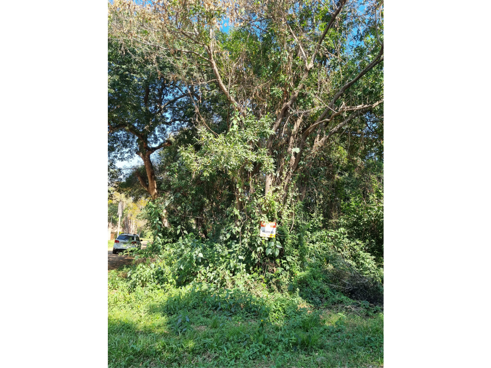Terreno en esquina a 300 metros de Playa Pelícano - 2