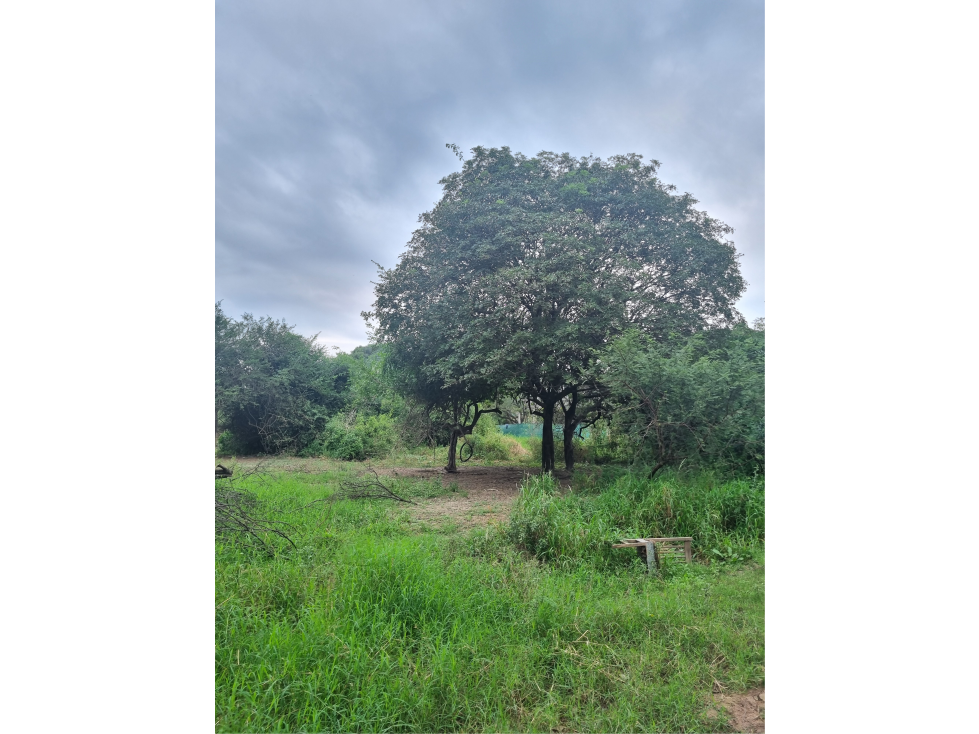 Terreno de 592 m2 zona Club Bancario, Villa Fabiana Norte - 1