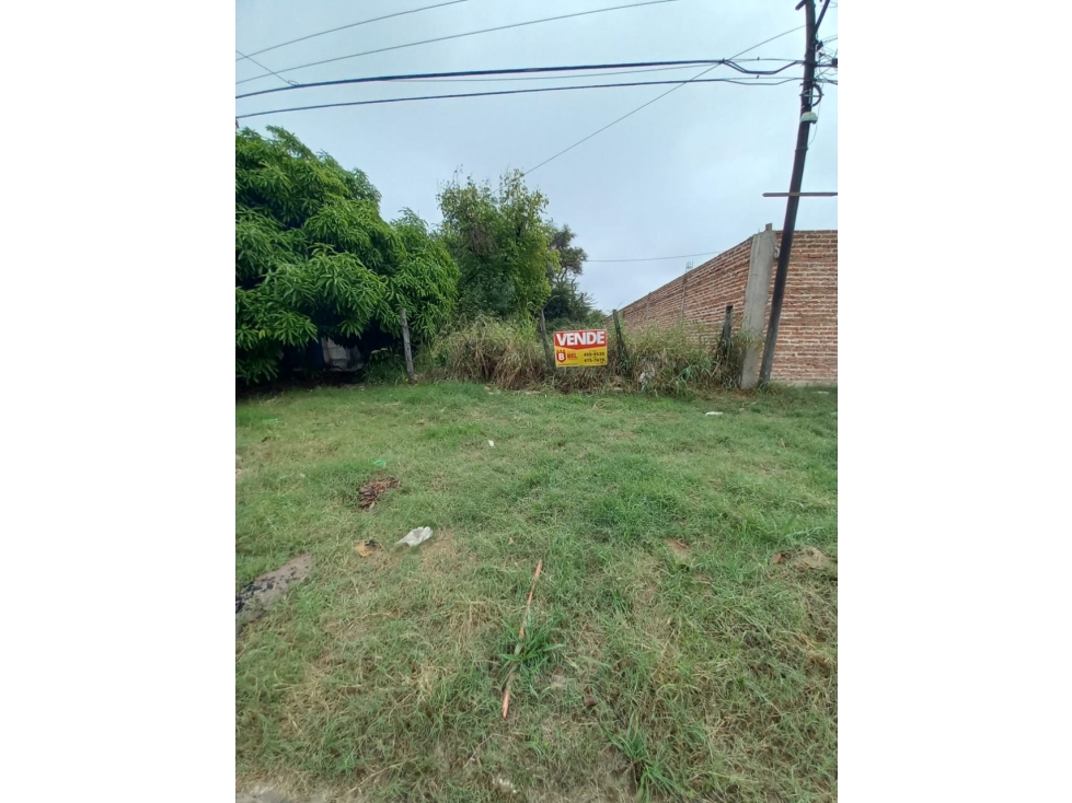 Terreno 10x50 sobre asfalto a minutos del centro! - 2