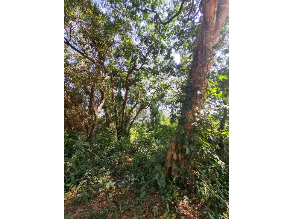 Terreno en esquina a 300 metros de Playa Pelícano - 3
