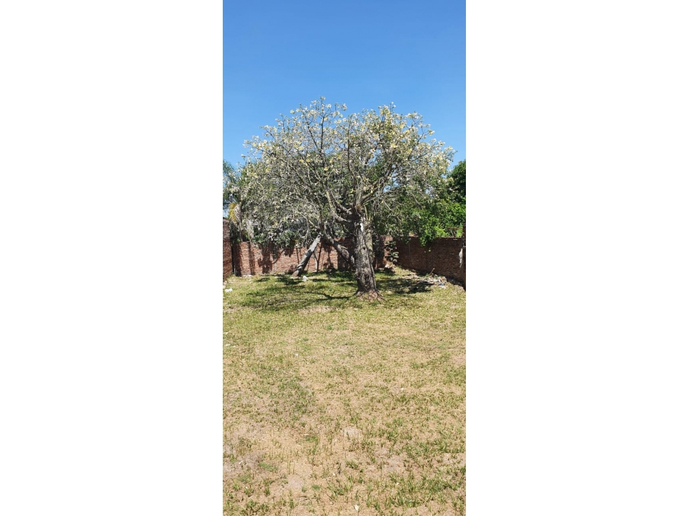 Terreno 10x25 a metros de Av Italia! - 1