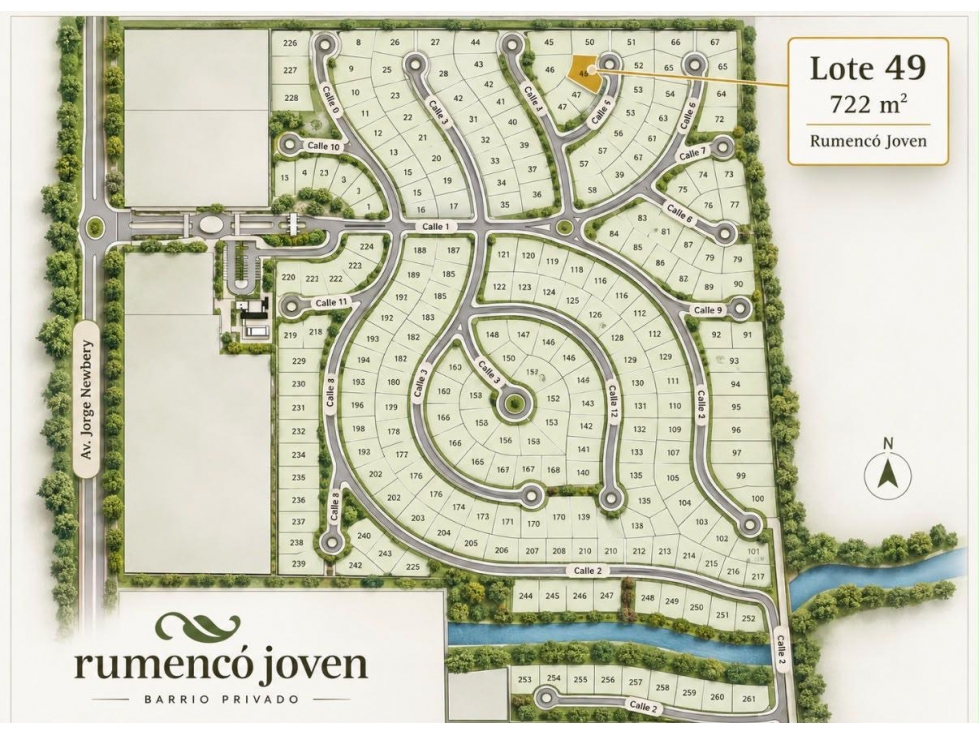 LOTE EN BARRIO PRIVADO RUMENCO JOVEN — foto 5