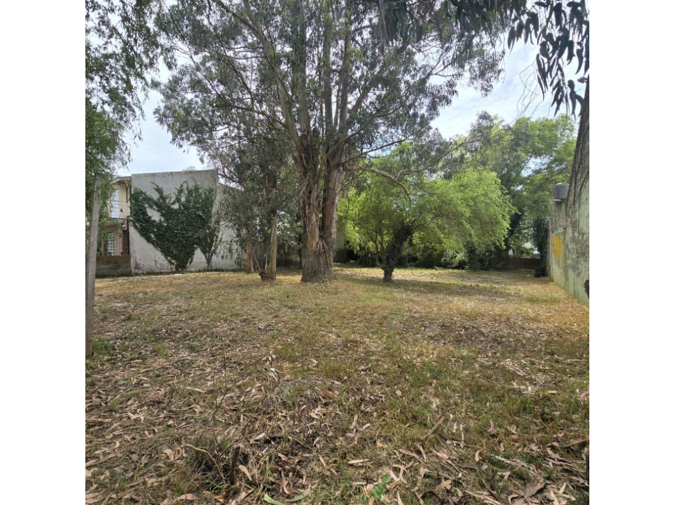 VENTA DE LOTES FINANCIADOS-COLINA PERALTA RAMOS — foto 2