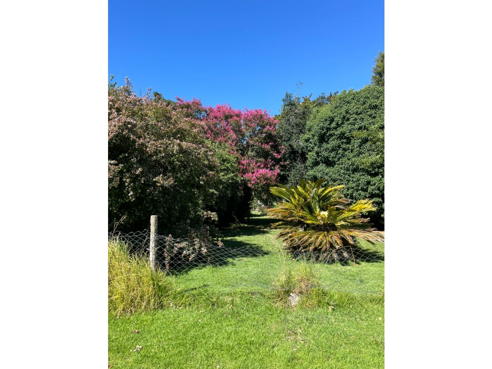EXCELENTE LOTE ZONA SIERRA DE LOS PADRES - 700 M2 — foto 2