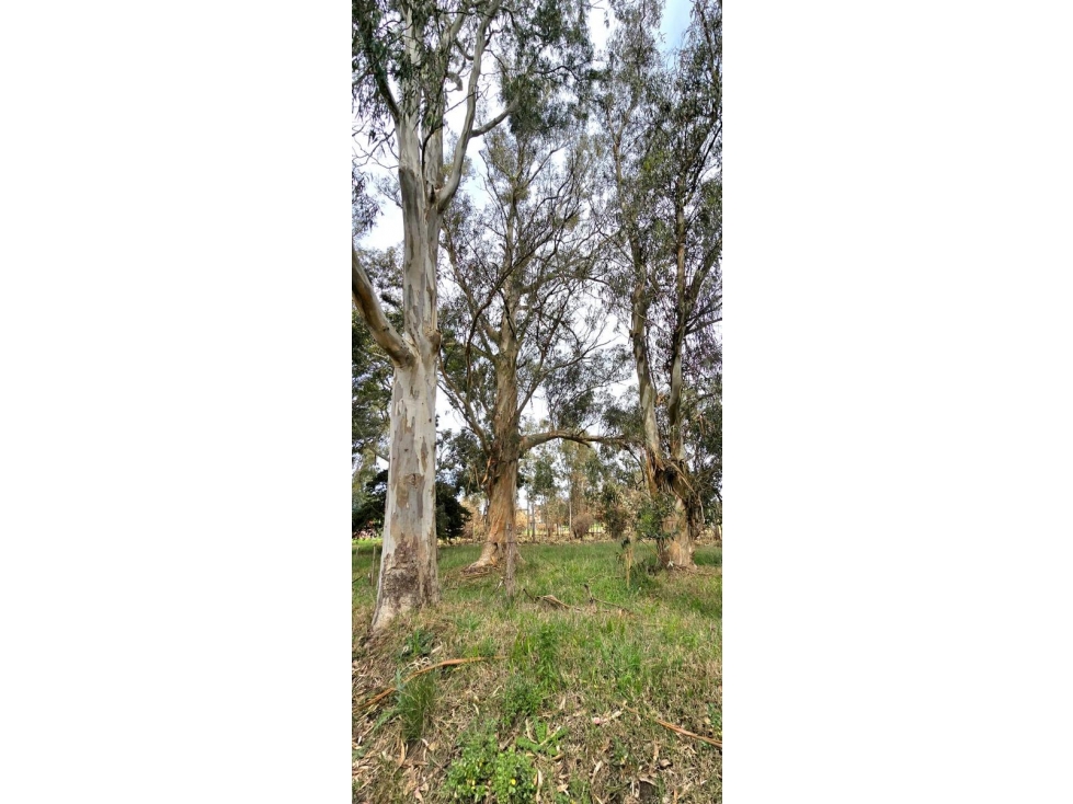 Lote en venta Reserva Golf Los Acantilados — foto 2