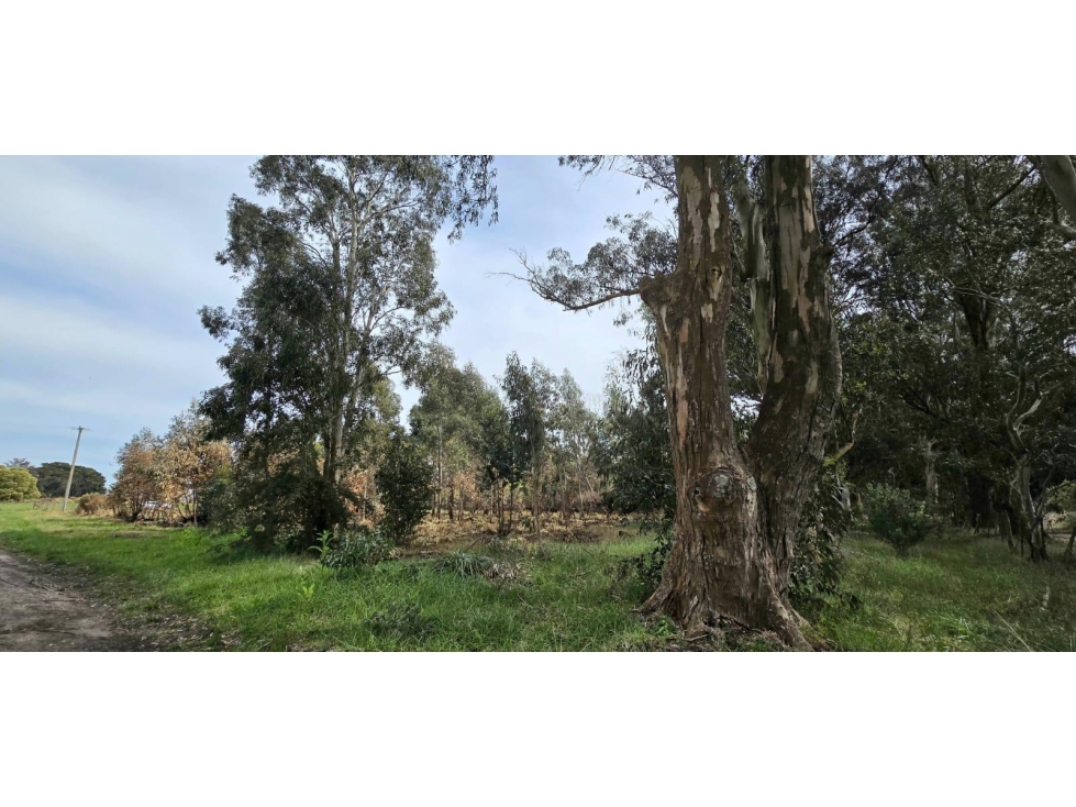 Lote en venta Reserva Golf Los Acantilados — foto 2