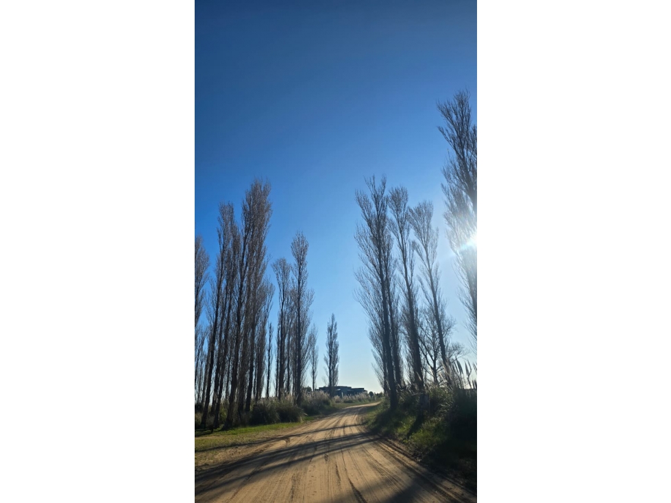Lote en venta en EL SALVAJE - CHACRAS MARITIMAS - 1