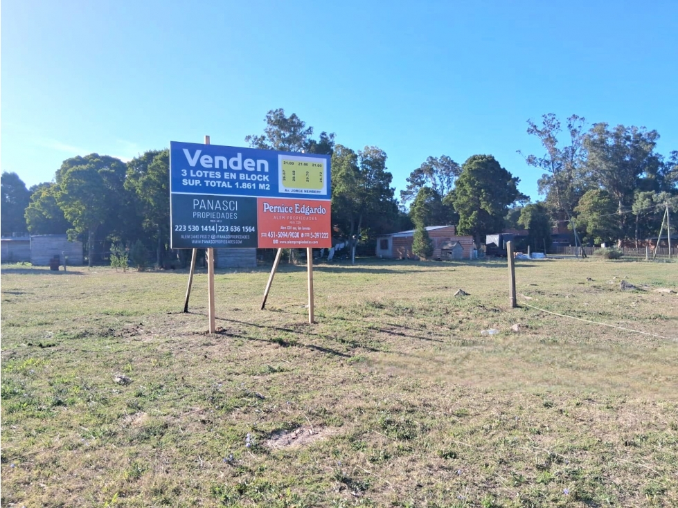 Venta 3 Lotes en block sobre Newbery