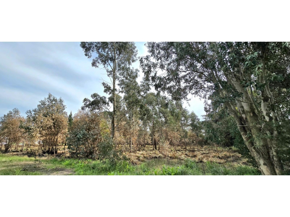 Lote en venta Reserva Golf Los Acantilados — foto 3