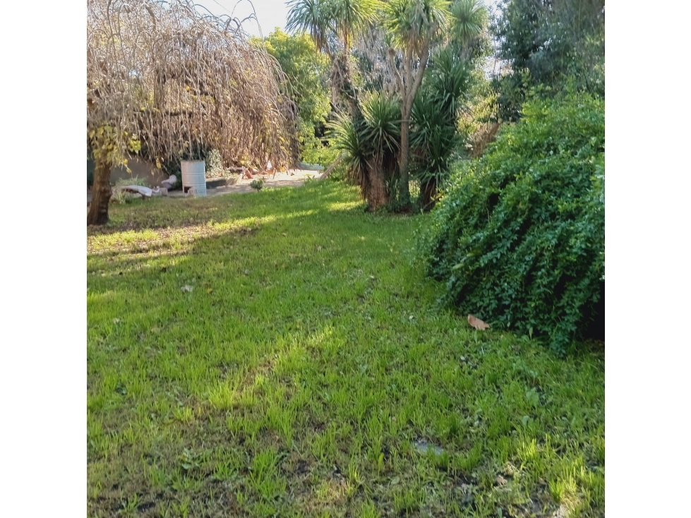 LOTE CON PILETA — foto 3