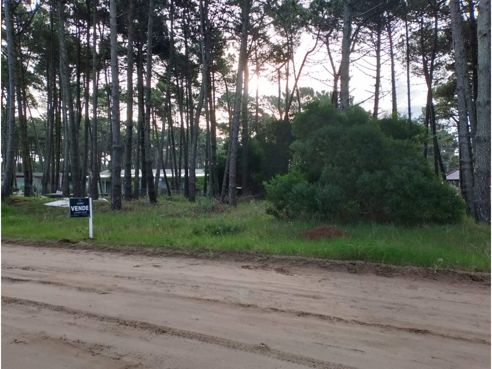PINAMAR- LOTE JUNCAL 15
