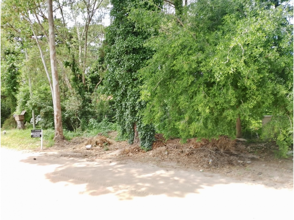 PINAMAR - LOTE SILFIDES - 2