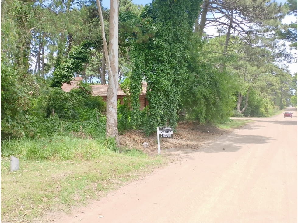 PINAMAR - LOTE SILFIDES - 4