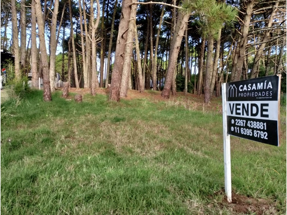 PINAMAR - CUL DE SAC DE ALAMOS LOTE 09 — foto 5