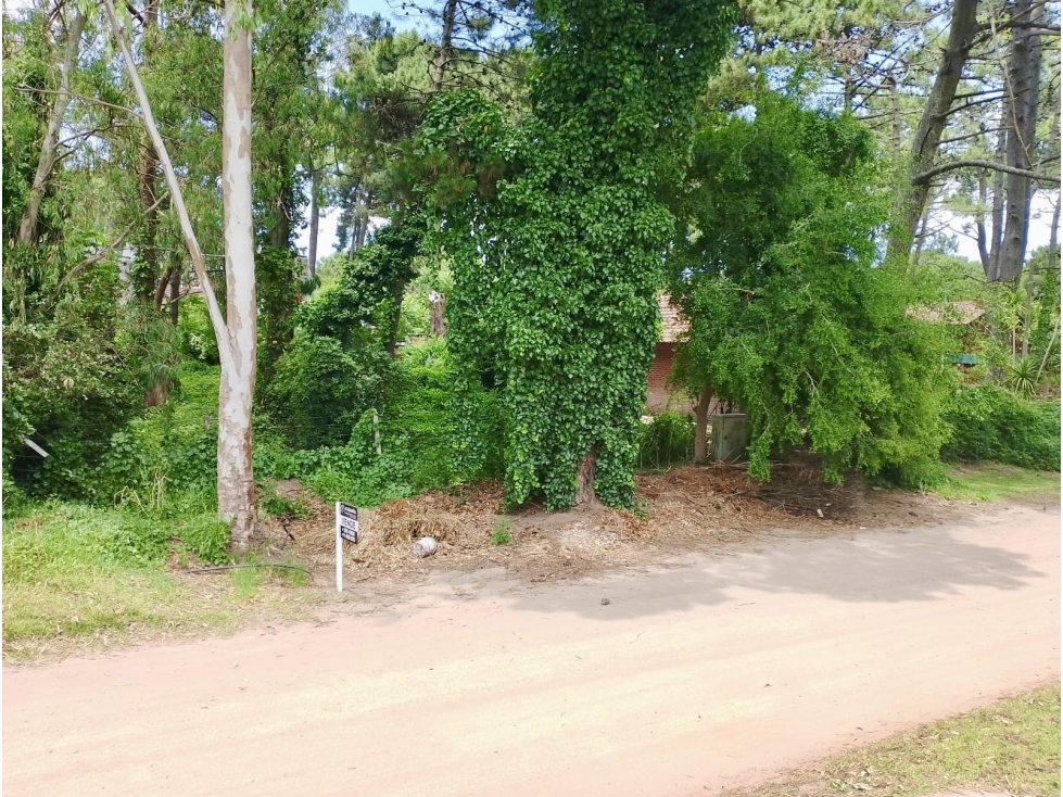 PINAMAR - LOTE SILFIDES - 5