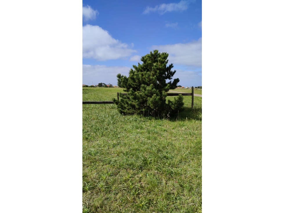 Lote 15 x 25 m. Asfalto Escriturado El Marquesado — foto 3